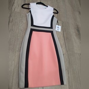 Calvin Klein Sleeveless Dress-Petite